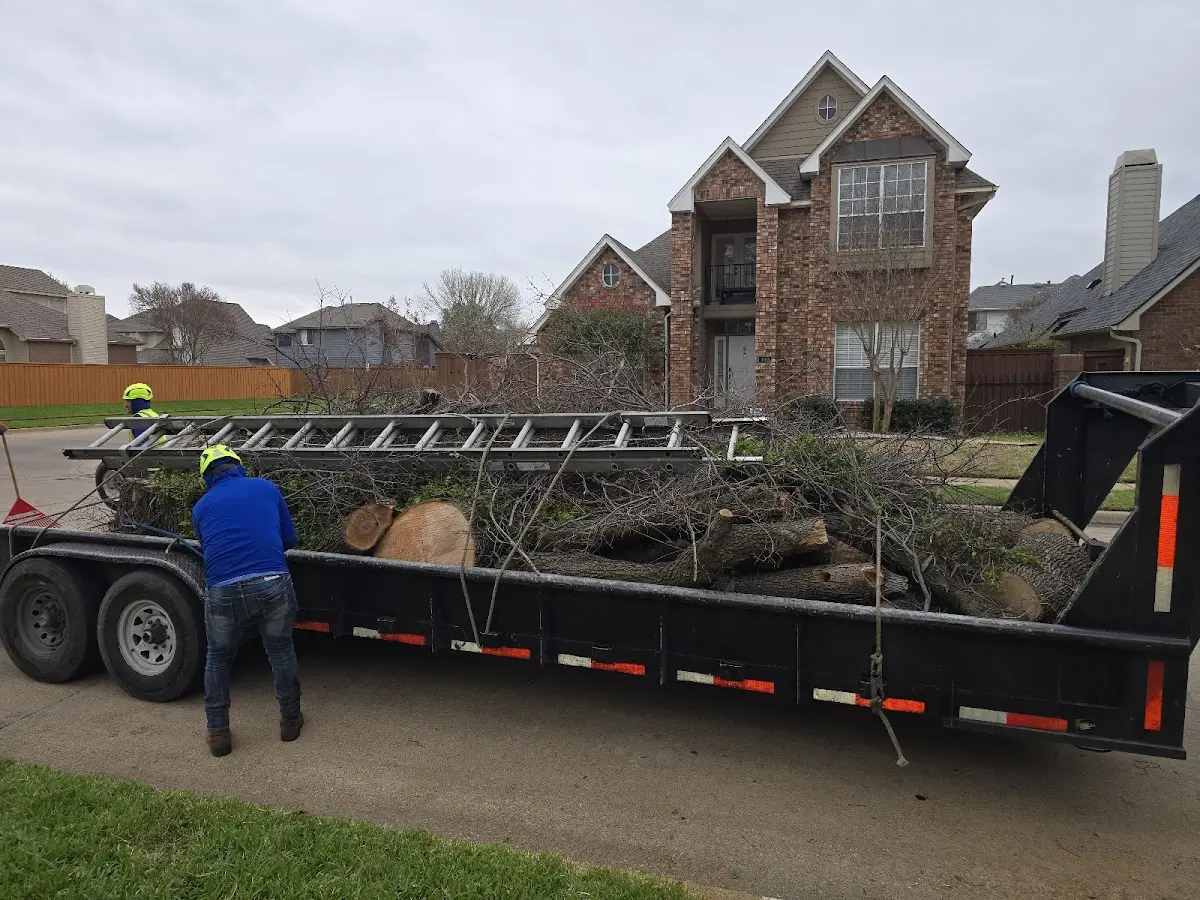Expert Lot Clearing with proper safety equipment in Egan